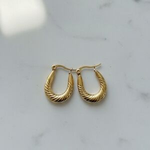 Gold Stainless Steel Hoop Earrings